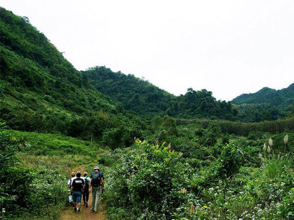 Hikers walking up trail in bushy hills